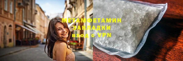 прущие грибы Тутаев