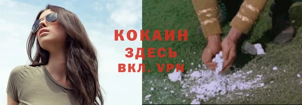 ALPHA PVP Бородино