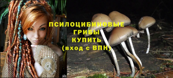 прущая мука Тында