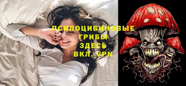 СК Тихвин