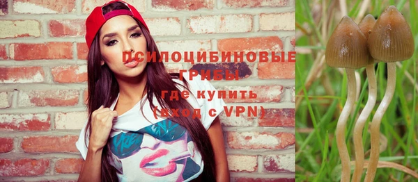 2c-b Туринск