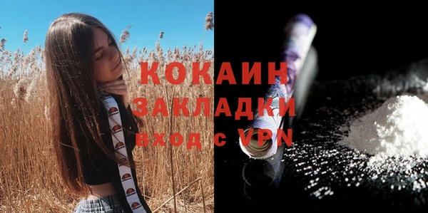 ALPHA PVP Бородино