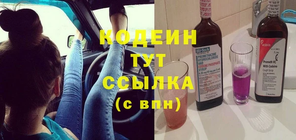 шишки Гусиноозёрск