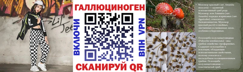 Галлюциногенные грибы Cubensis  Соль-Илецк 